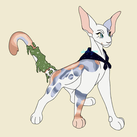 Warrior Cats OC